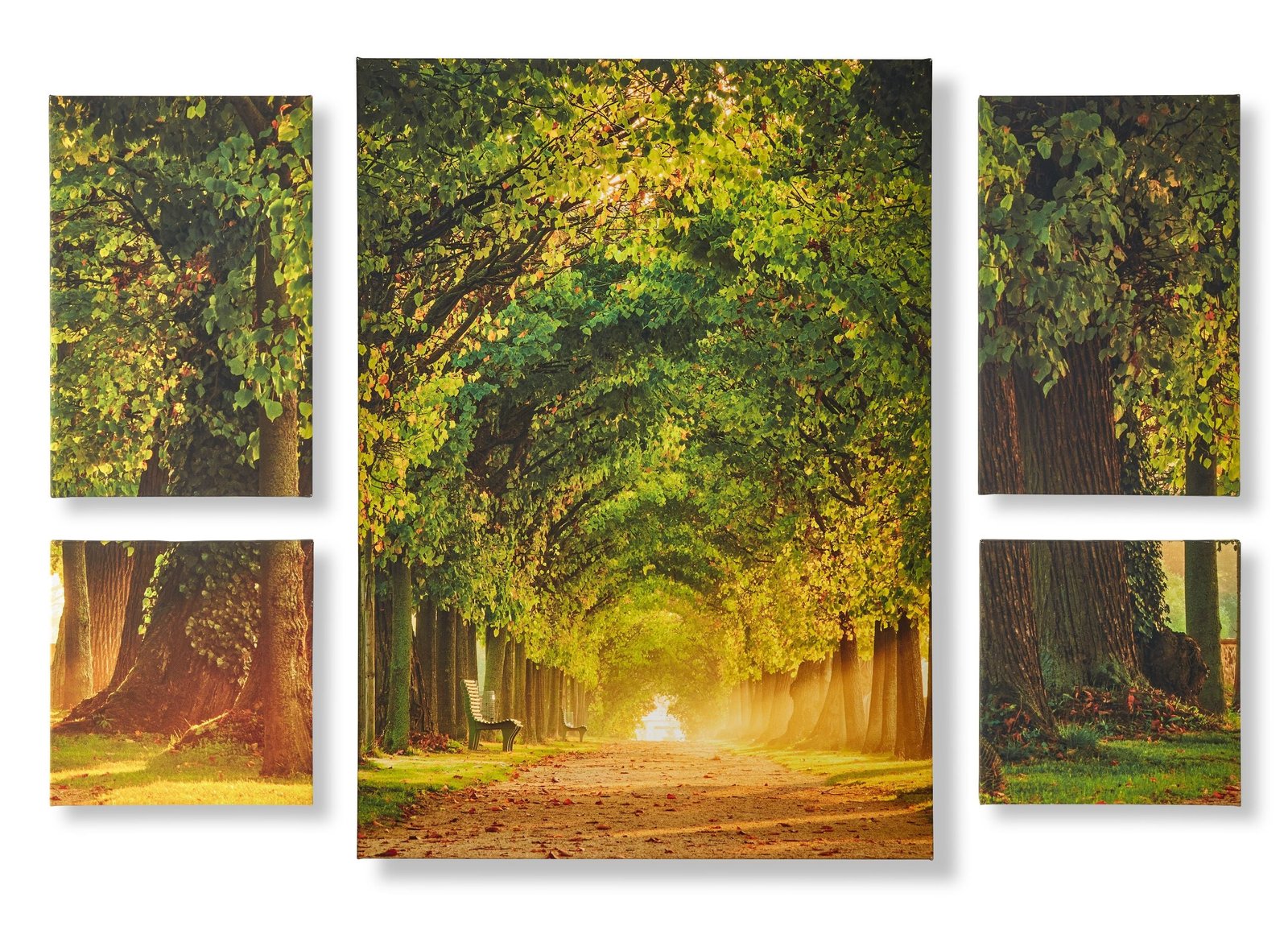 Maison Forest Sunrise Wall Prints | Set of 5