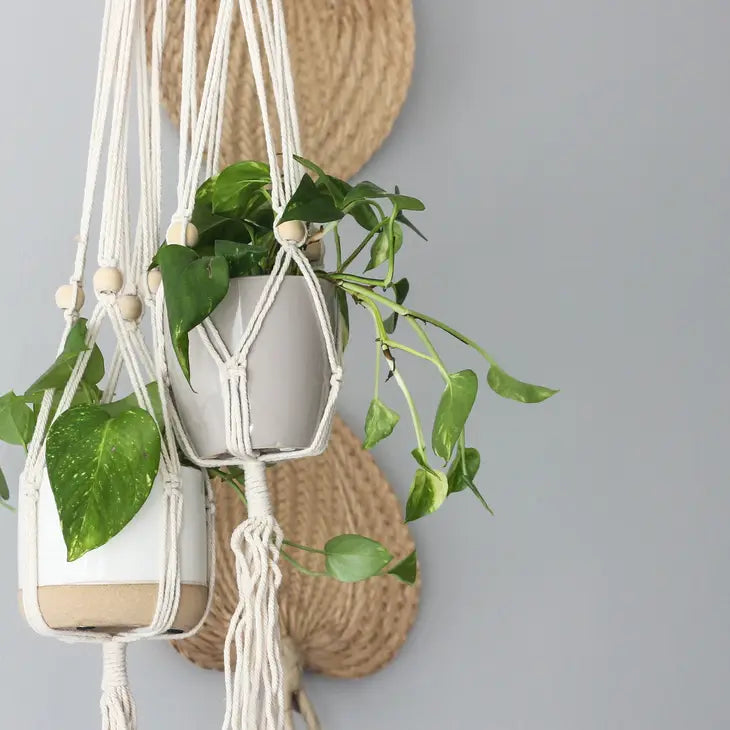 Macrame Hanging Plant Holder