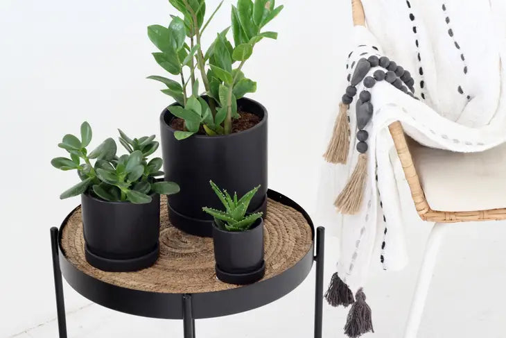 Ceramic Matte Black Planter Pots 